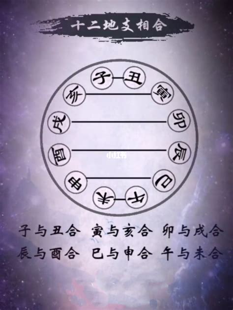 八字合婚周易|八字合婚